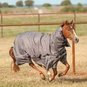 Classic Equine Horse 5k Cross Trainer Hooded Winter Blanket