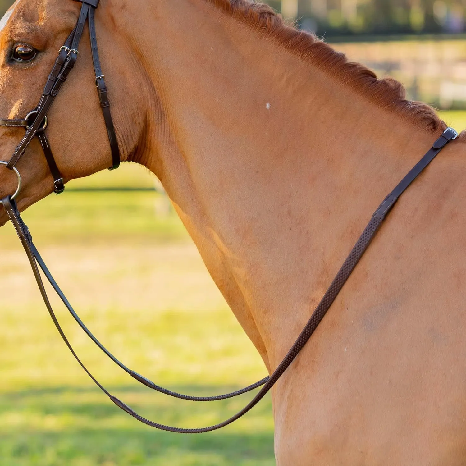 Equinavia Saga Adjustable Padded Fancy Stitched Figure 8 Bridle with Reins