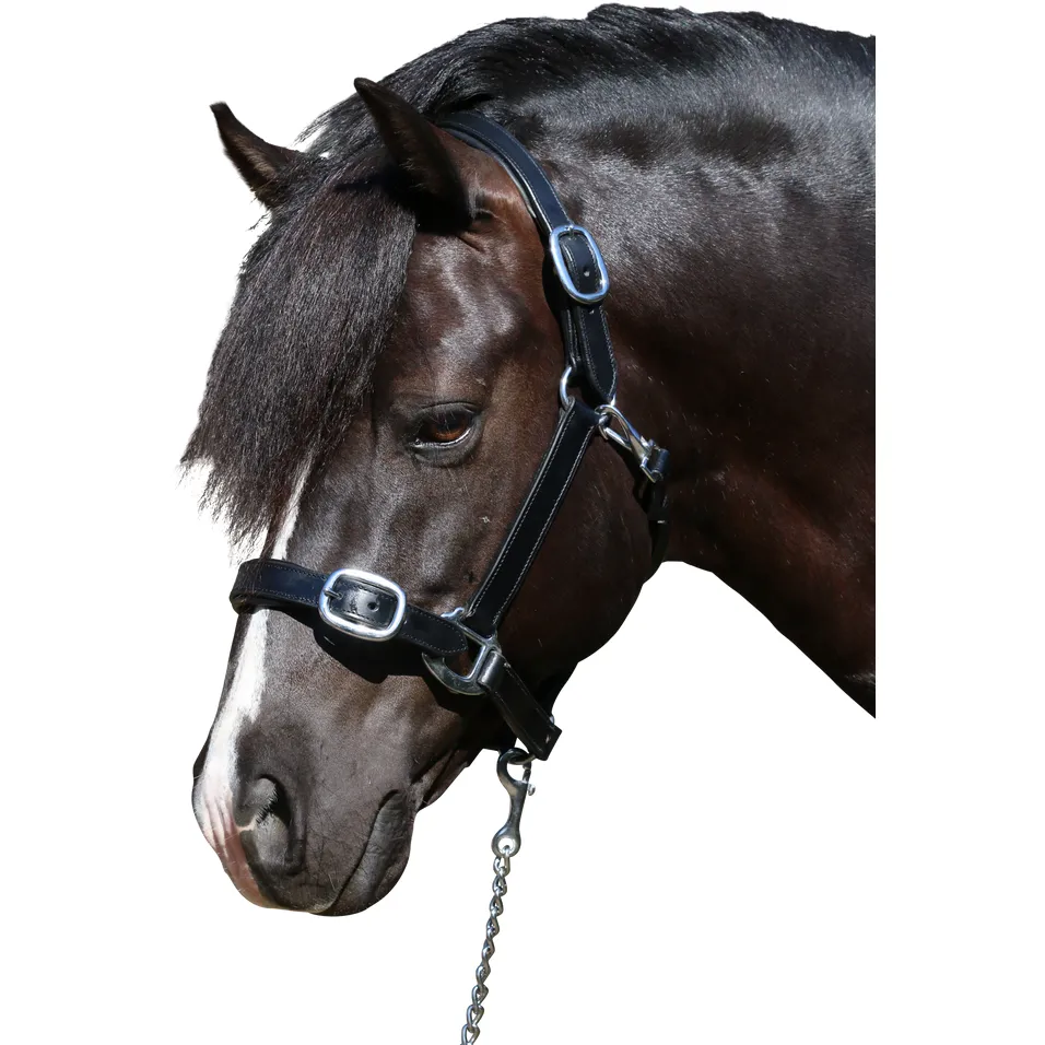 Flexible Fit Plain Flat SS Leather Halter