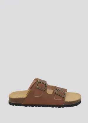 Human KAI Slides - TAN (Kids)