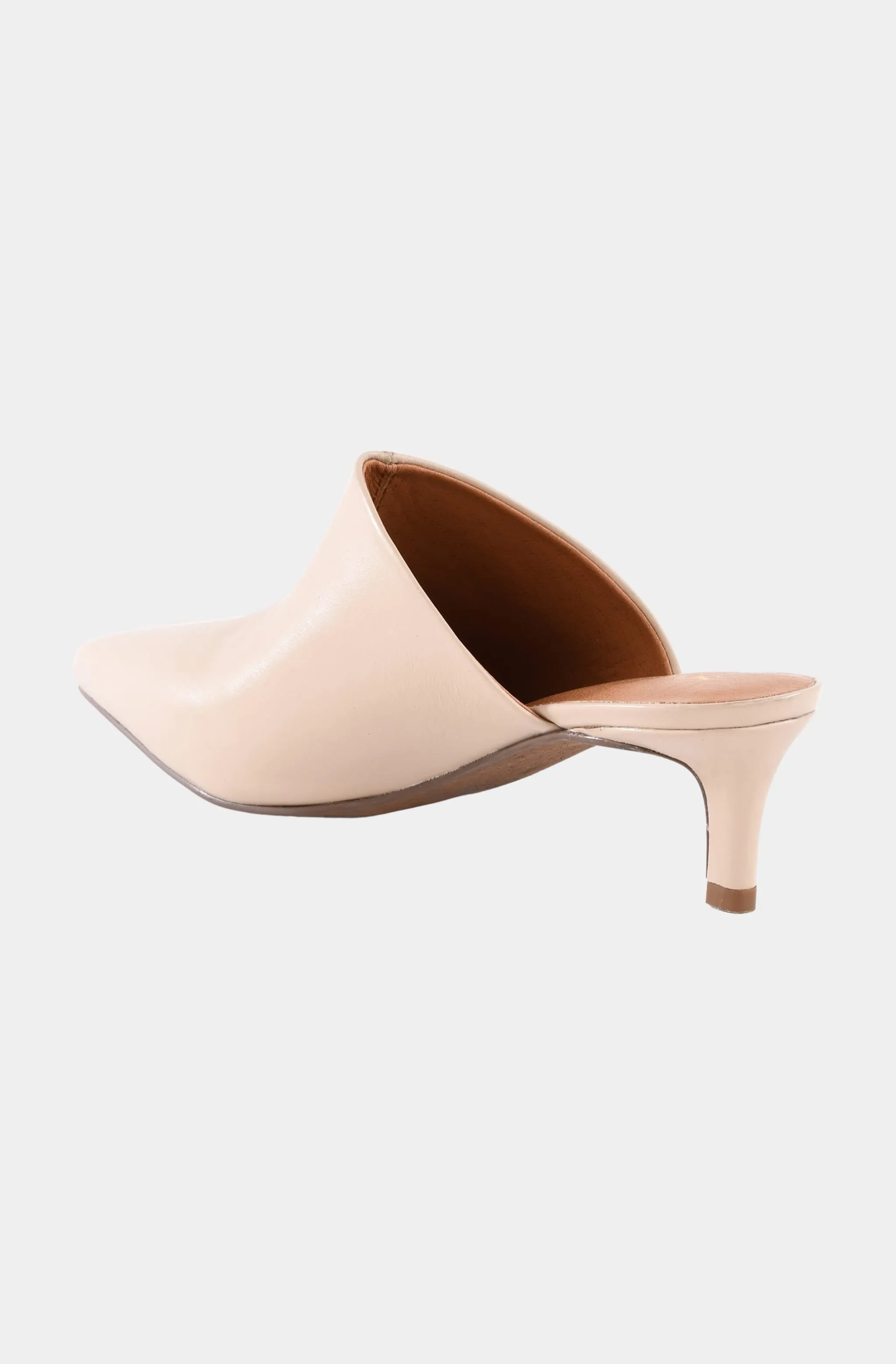 Obsession Mule