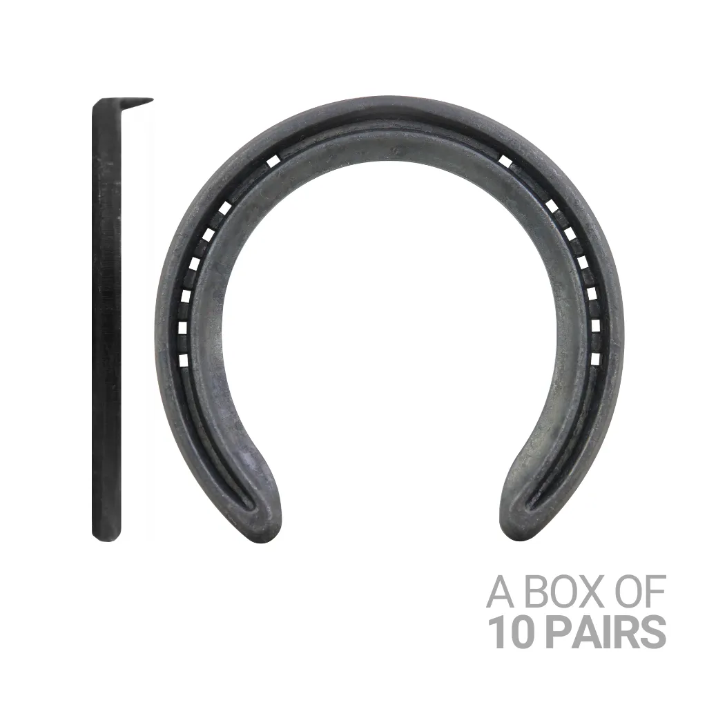 Quality Trainer 6 Front 1/Clip