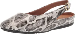 SoftWalk Women's Sandy Ballet Flat