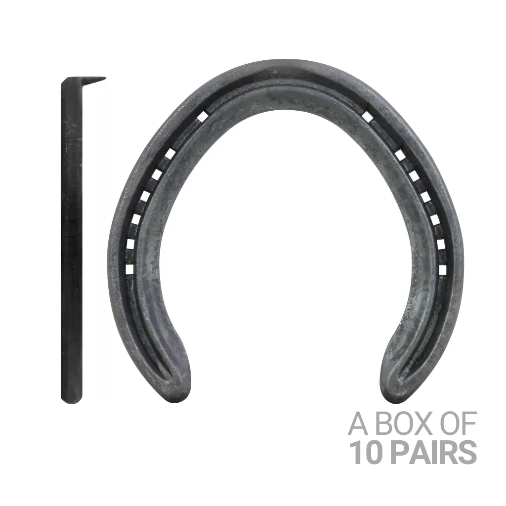 Trainer 8 Hind 1/Clip